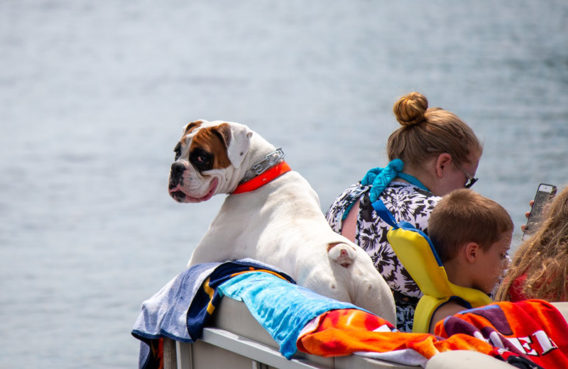 Pets welcome at Westward Shores Camping Resort.