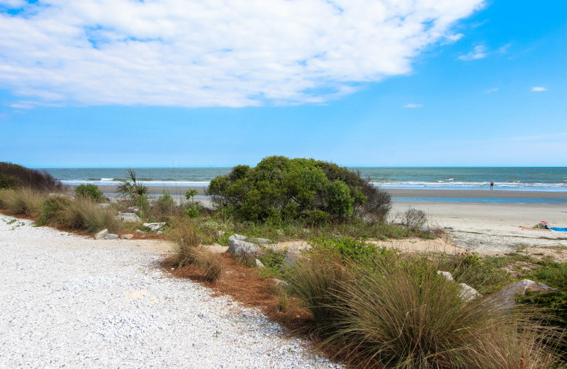 Beach at Grand Pavilion 50.