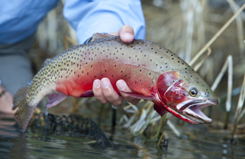 Fishing at Utah Family Lodges.