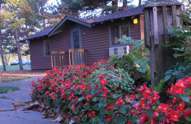 Cabin at Ruttger's Bay Lake Lodge.