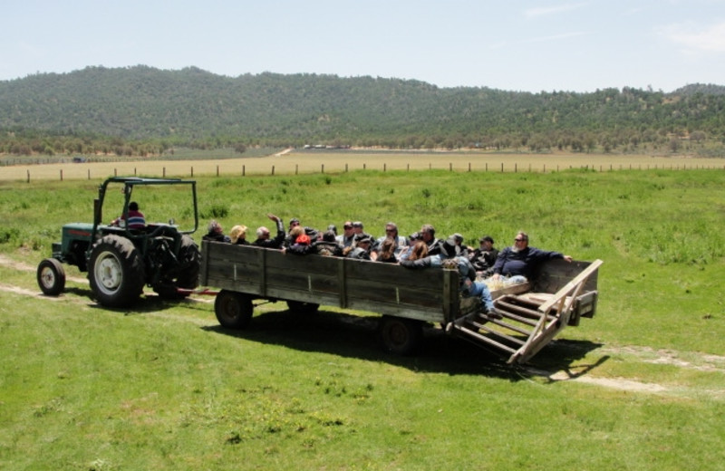 Hayrides at Rankin Ranch.