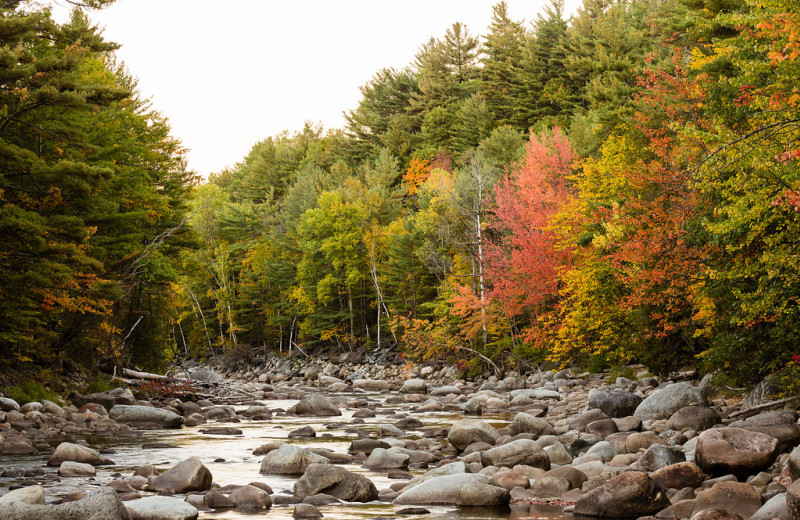 Creek at ADK Trail Inn.