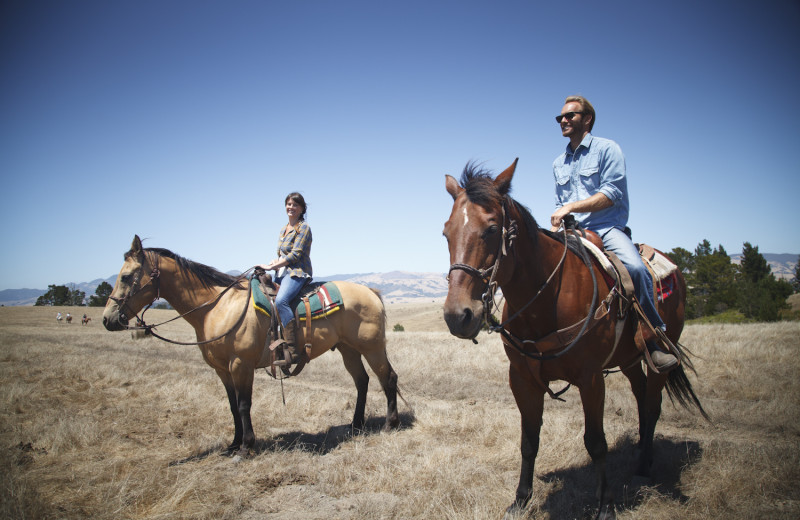 Horseback riding near White Water Inn.