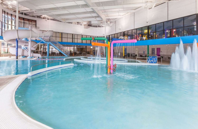 Indoor pool at Wyndham Garden Sterling Heights.