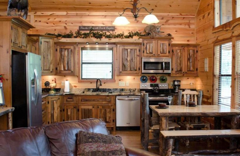 Cabin kitchen at Lake Mountain Cabins.