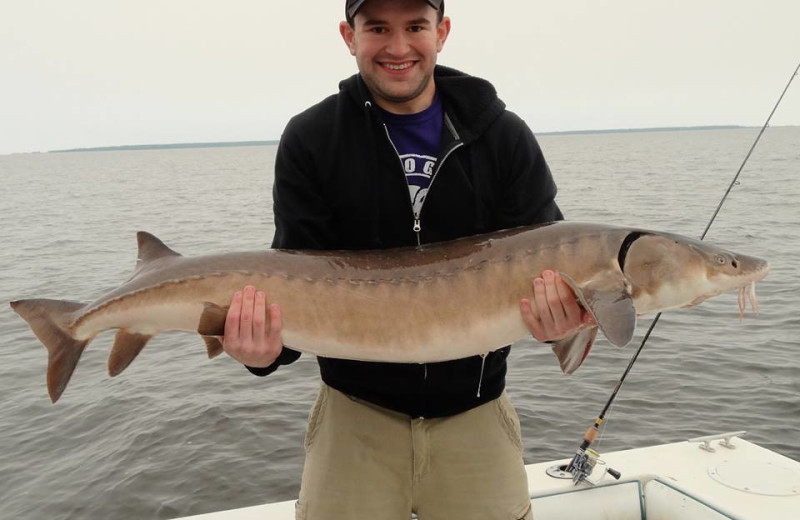 Sturgeon caught at Ballard's Resort.