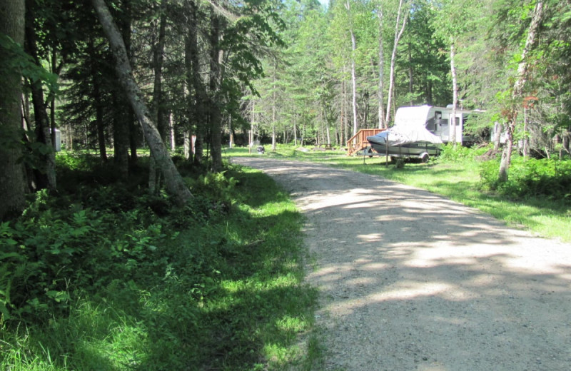 RV camping at Rising Eagle Resort.