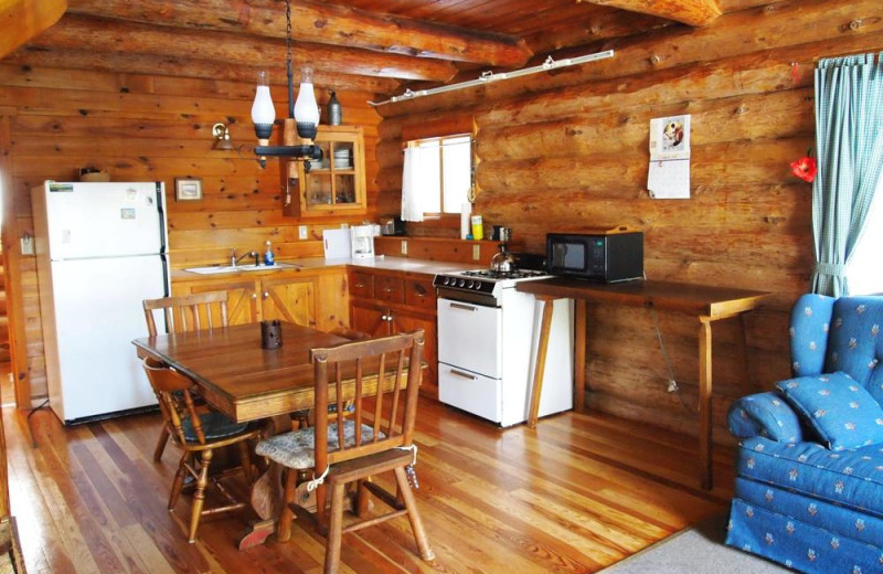 Cabin kitchen and dining room at Heston's Lodge