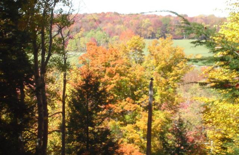 View from Panther Lodging.