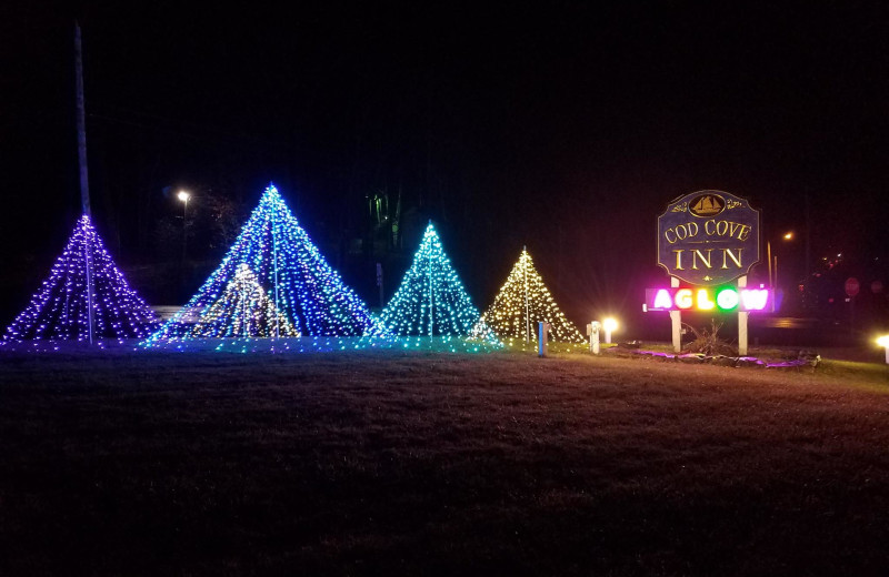 Holiday lights at Cod Cove Inn.