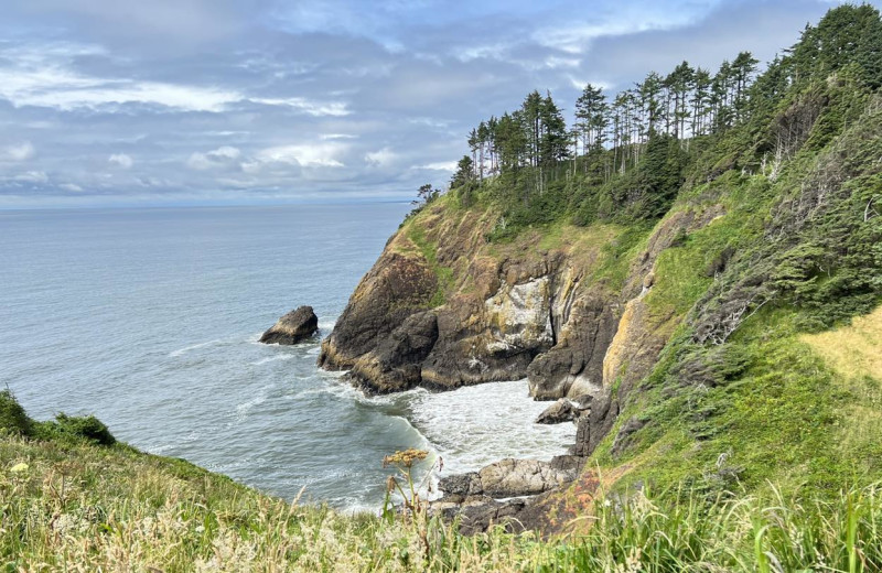 Shoreline at Lighthouse Oceanfront Resort.