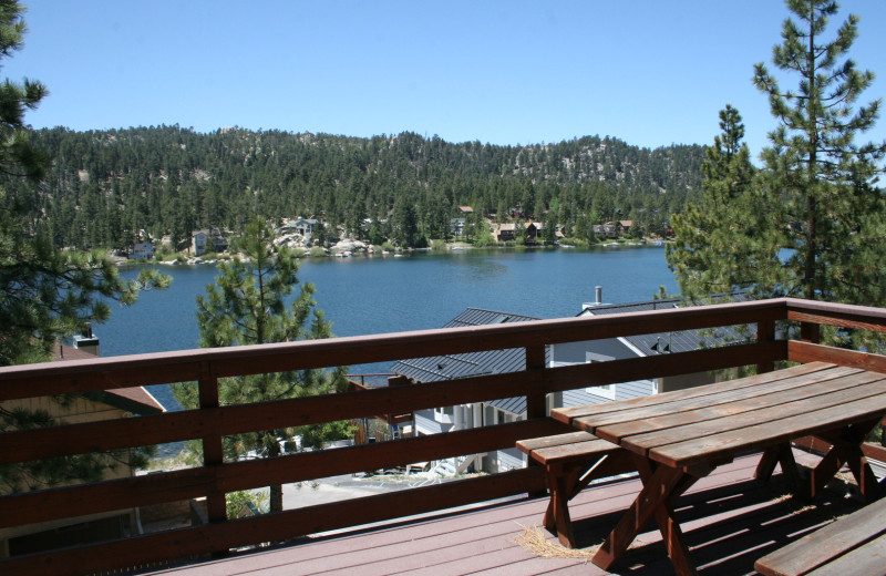 Cabin view at Honey Bear Lodge & Cabins.