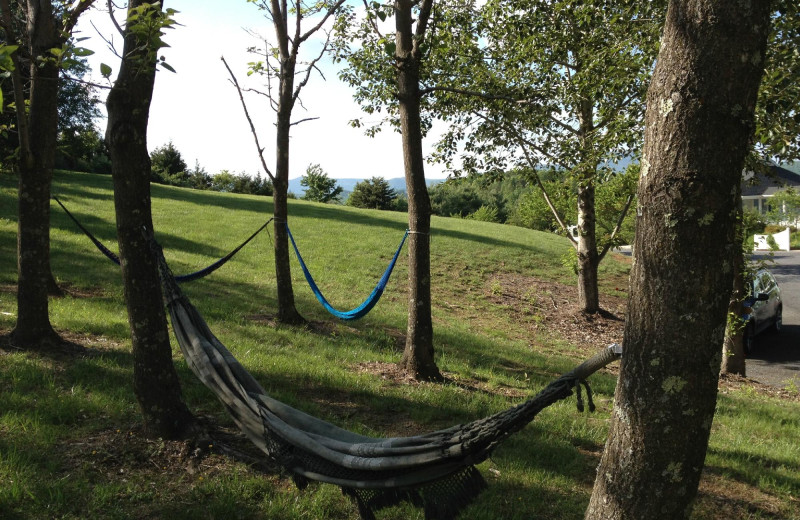 Hammocks at Brierley Hill Bed and Breakfast.