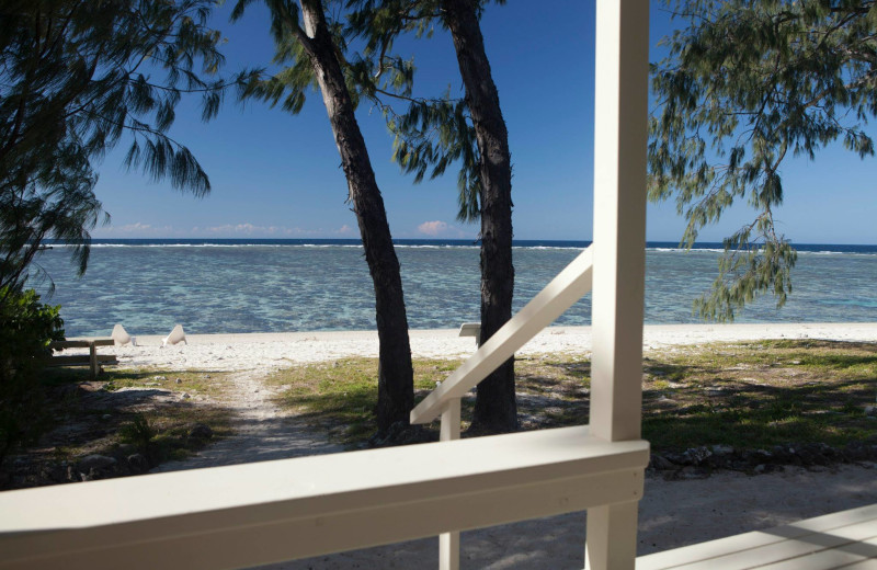 The beach at Lady Elliot Island Resort.