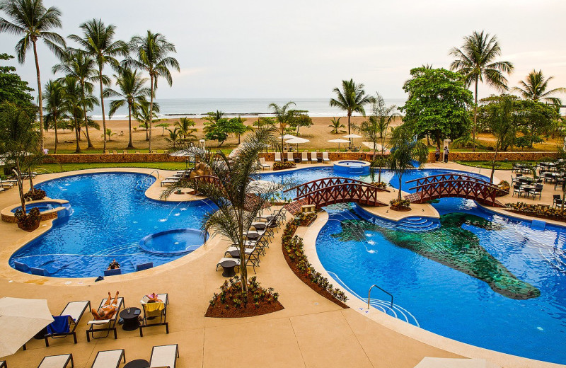 Pool at Croc's Resort & Casino.