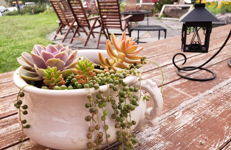 Patio at Albergo Allegria.