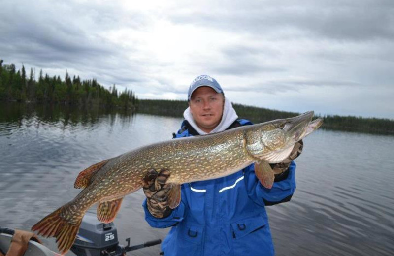 Big catch at Sandy Beach Lodge.