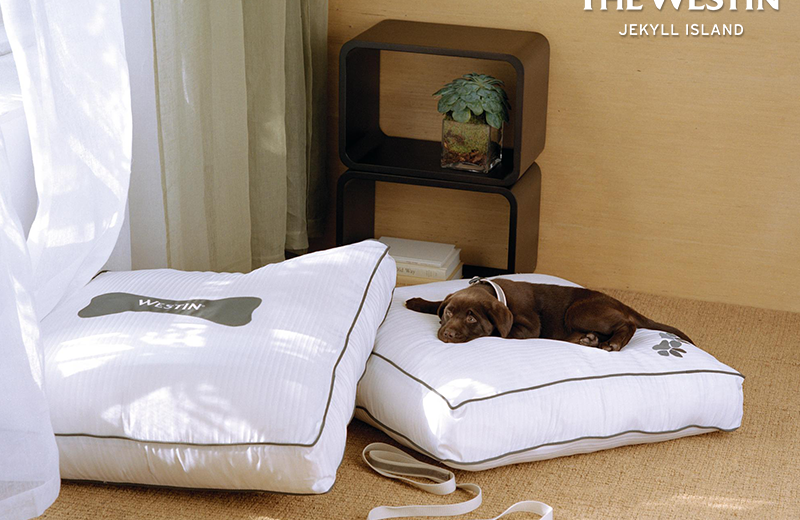 Pet-friendly accommodations at Westin Jekyll Island