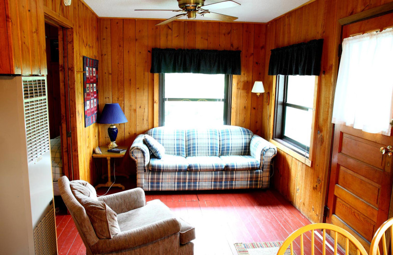 Cabin living room at Pine Terrace Resort.