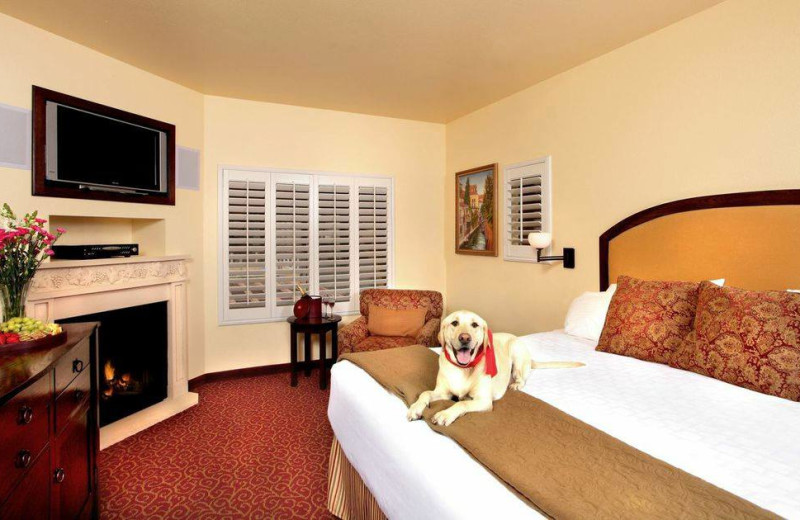 Pets welcome at Dry Creek Inn Hotel.