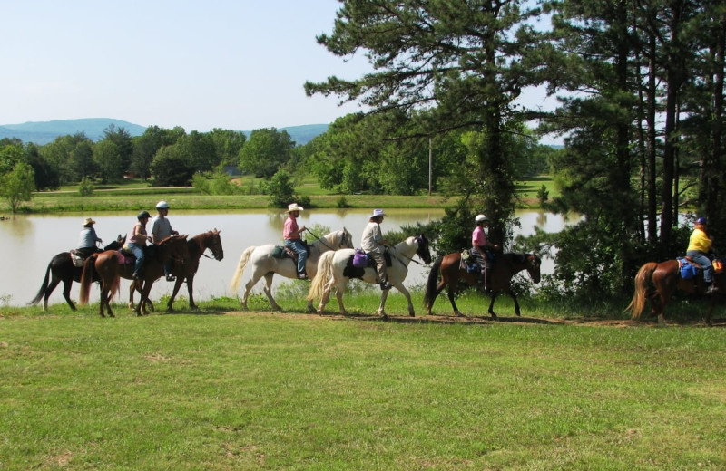 Horseback riding at Mulberry Mountain Lodging & Events.