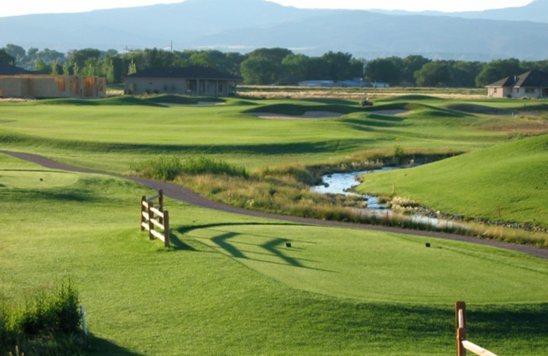 Golf course near Black Canyon Motel.