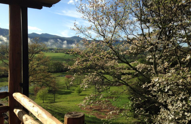 View from Big Bear Log Cabins.