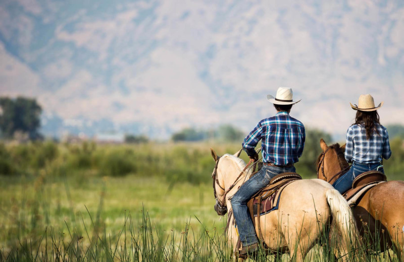 Horseback riding at 320 Guest Ranch.