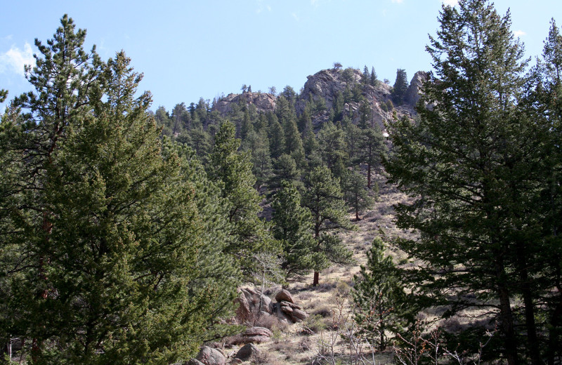 Scenic view from Timber Creek Chalets.