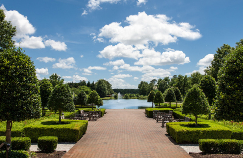 The Grounds at The Founders Inn