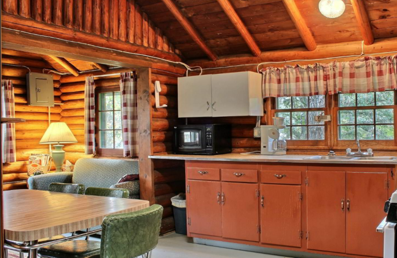 Cabin kitchen at Whaley's Resort & Campground.