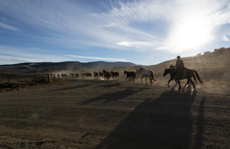 Trail ride at Latigo Ranch