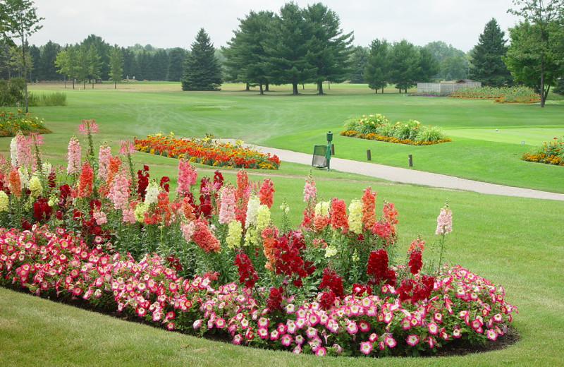 Golf course gardens at Lakewood Shores Resort.