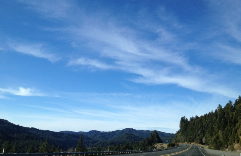 Scenic view at Giant Redwoods RV Park & Camp.