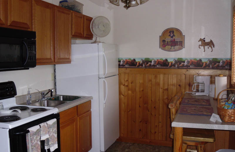 Cabin kitchen at Glaciers' Mountain Resort.