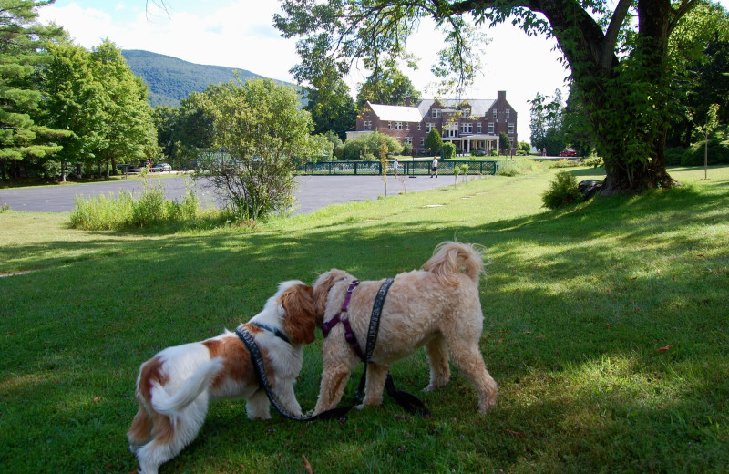 Pets welcome at Wilburton Inn.