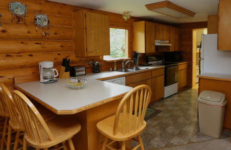 Cabin kitchen at Bear Paw Adventure.