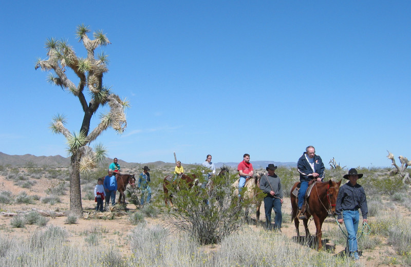 Horseback riding at Stagecoach Trails Guest Ranch.