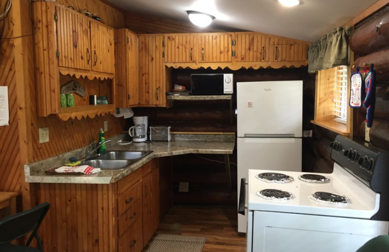 Cabin kitchen at Blackduck Lodge & Resort.