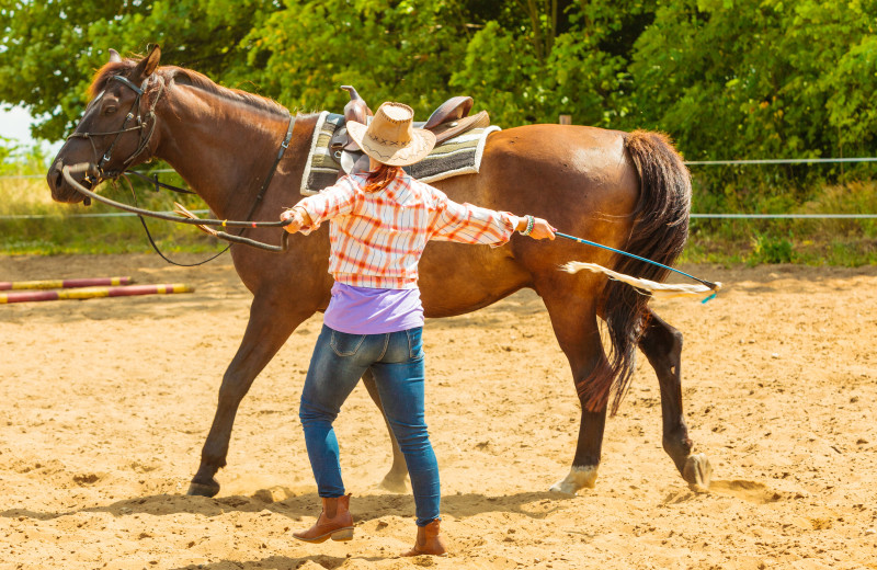 Horse round up at Silver Spur Guest Ranch.