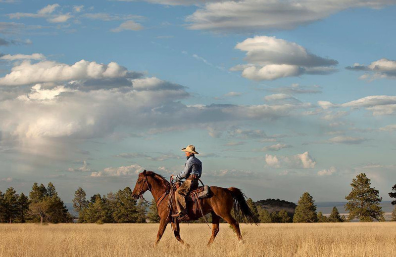 Horseback riding at MLY Ranch.