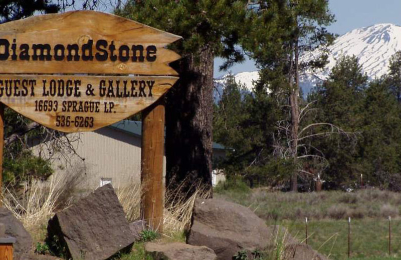 DiamondStone B&B decorated with western and wildlife fine art.