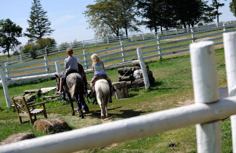 Horseback riding at Timber Ridge Lodge & Waterpark.