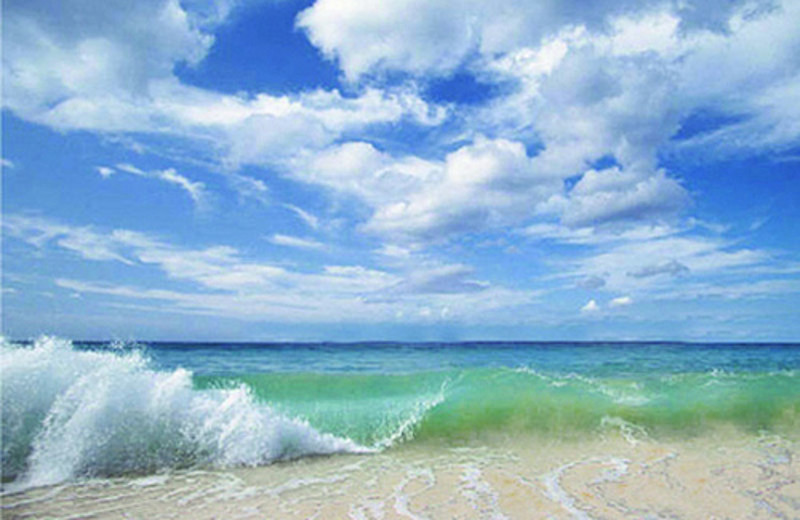 Ocean Waves at Meyer Vacation Rentals