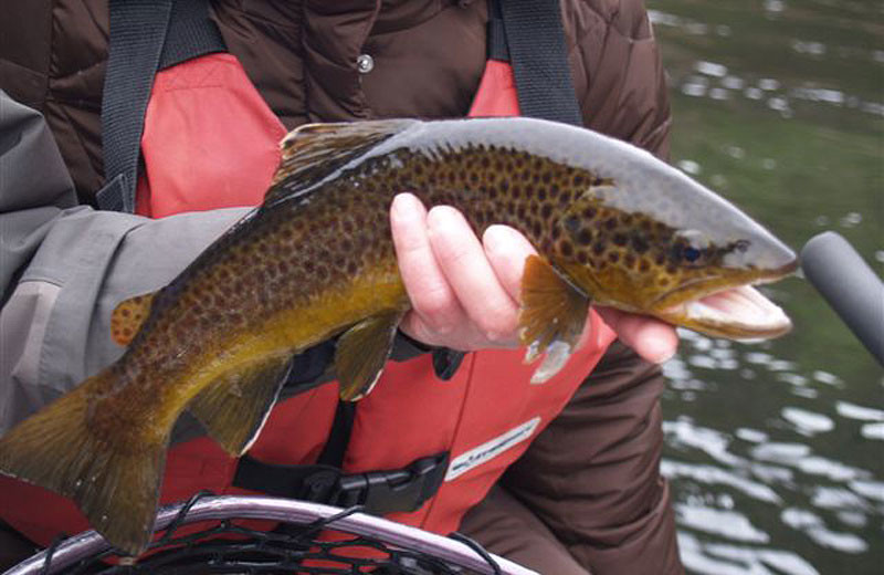 Fishing at Flaming Gorge Lodge.