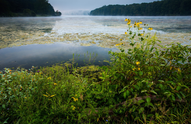 Lake Logan near Cut Above Cabins.