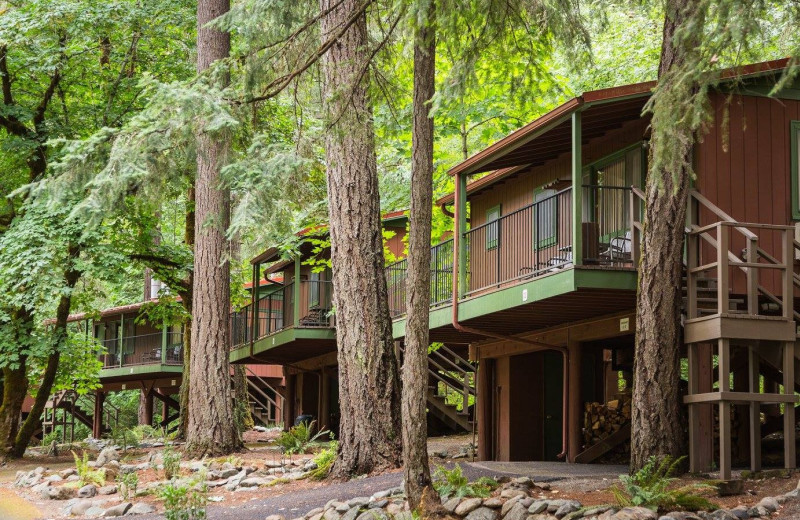Exterior view of Morrison's Rogue River Lodge.