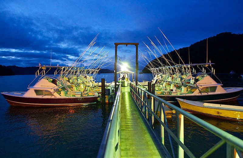 Fishing at Tropic Star Lodge.