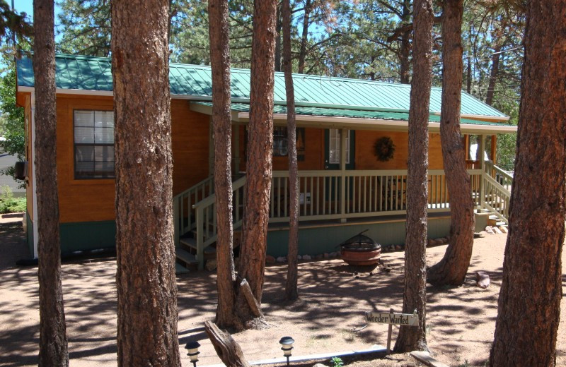 Cabin exterior at Bristlecone Lodge.