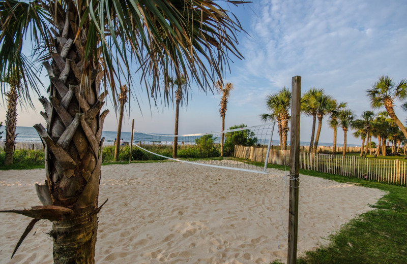 Volleyball court at Ocean Reef Resort.